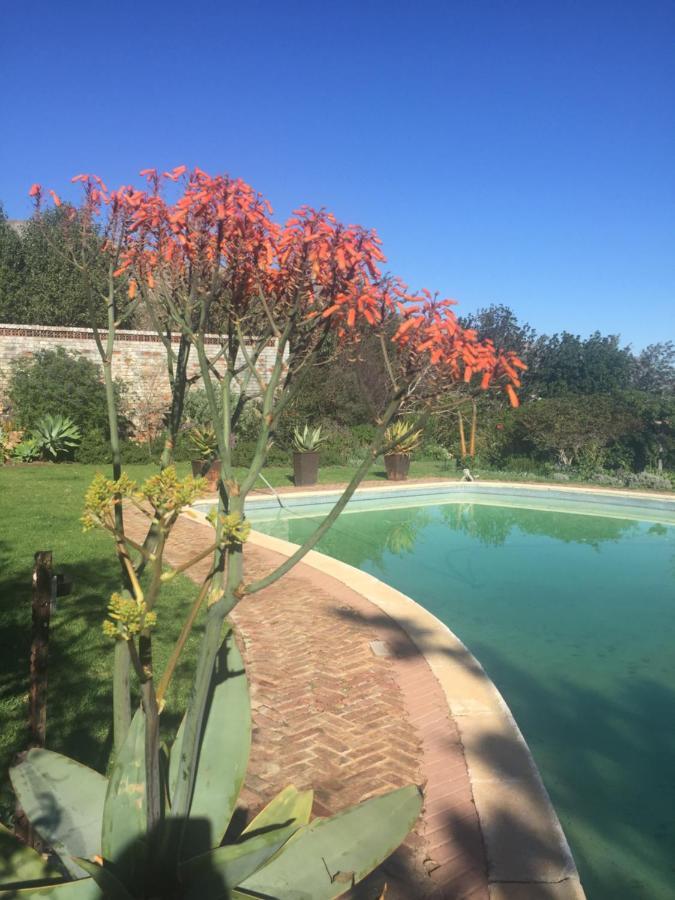 Watermill Studios Gordonʼs Bay Zewnętrze zdjęcie