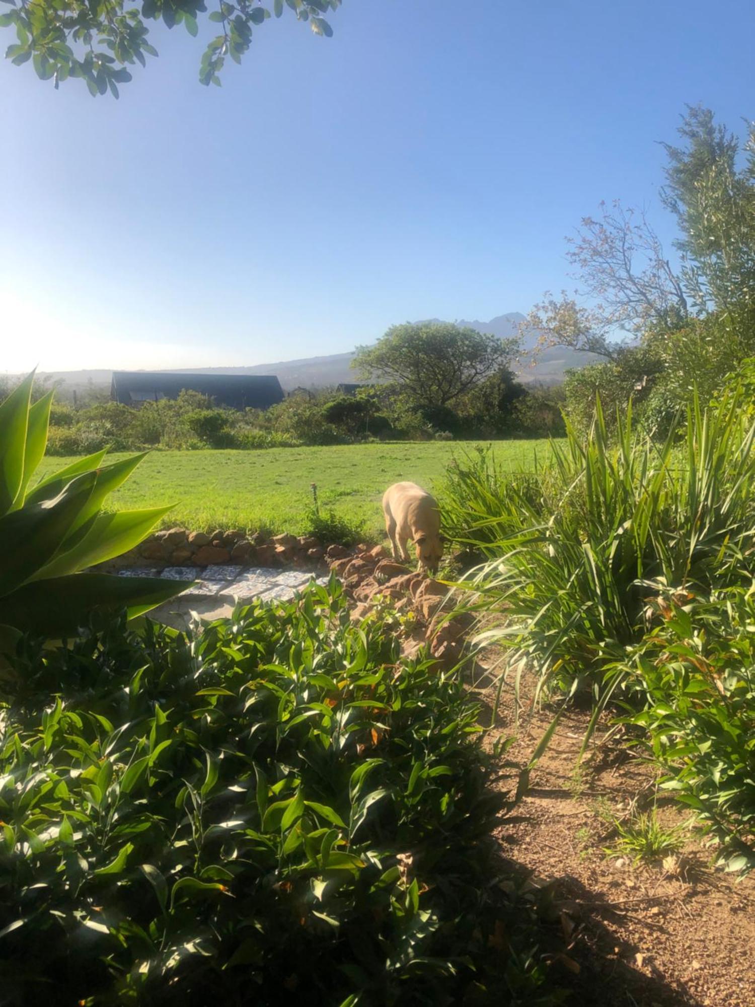 Watermill Studios Gordonʼs Bay Zewnętrze zdjęcie